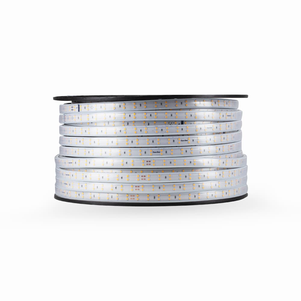 Đèn Led dây LD03 1000/10W