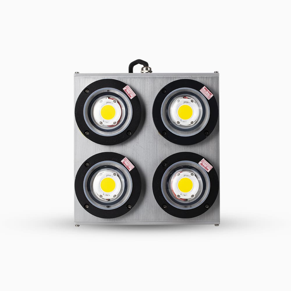 Đèn LED đánh cá DC08 700W COB