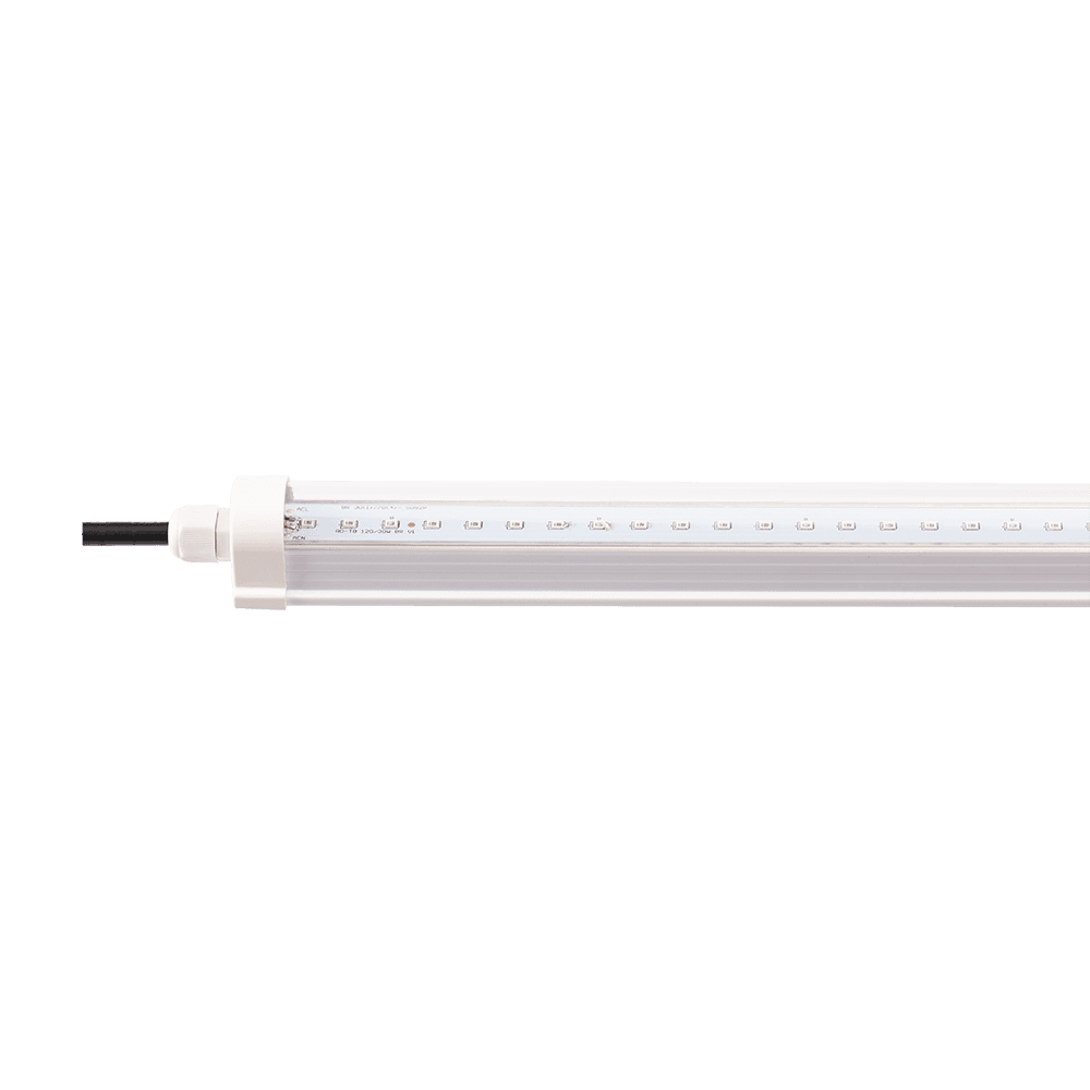 Đèn trồng cây