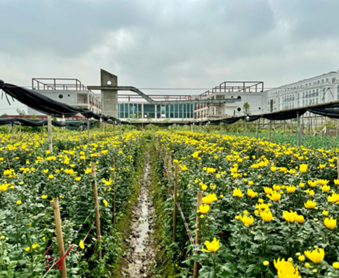 den-led-hoa-cuc-9w-3362-12