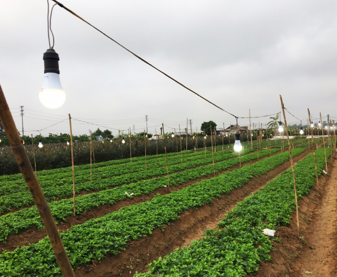 den-led-hoa-cuc-9w-3362-13