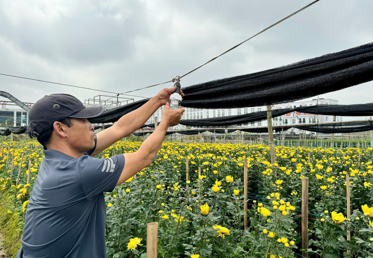 den-led-hoa-cuc-9w-3362-3