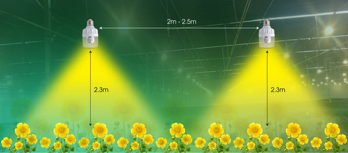 den-led-hoa-cuc-9w-3362-8